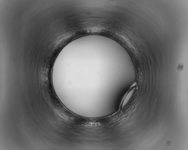 X0000099990543200806131437