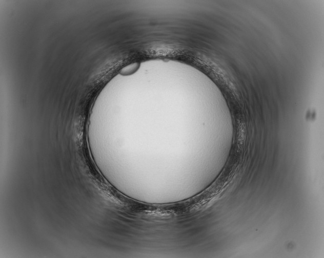 X0000099990545200806131437