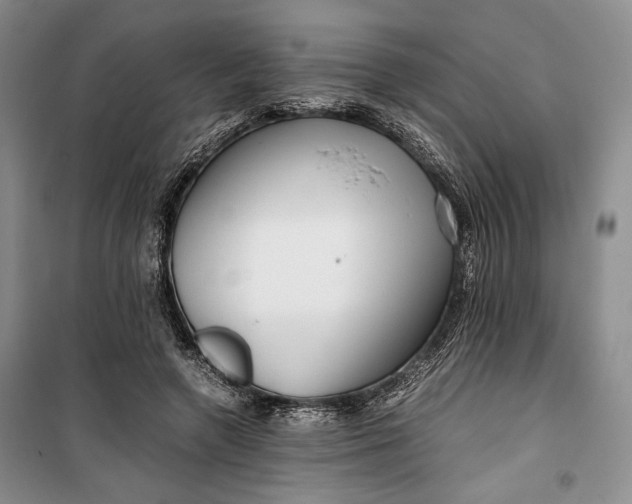 X0000099990546200806131437