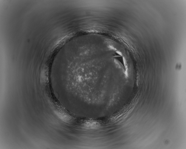 X0000099990547200806131437