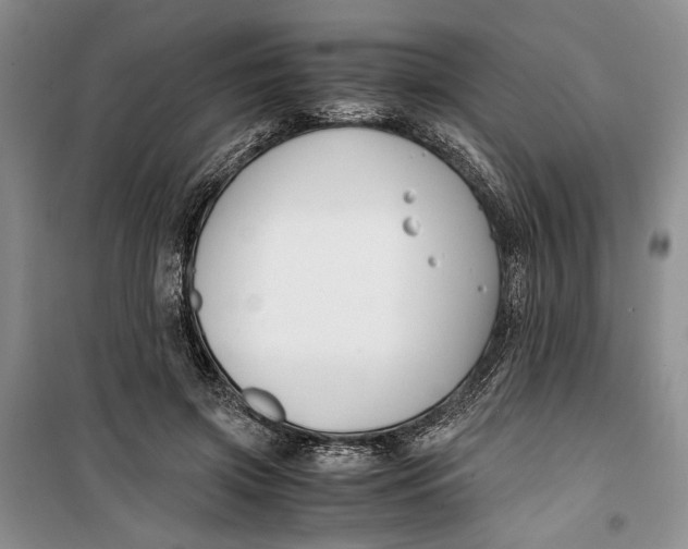 X0000099990549200806131437