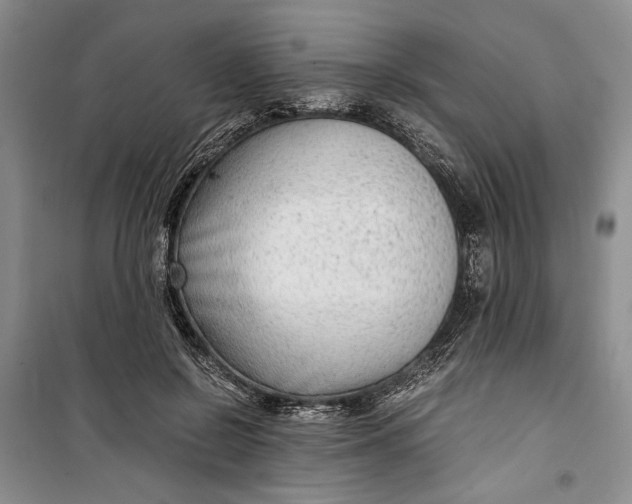 X0000099990550200806131437