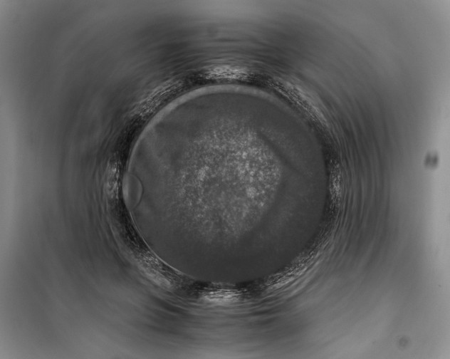 X0000099990551200806131437