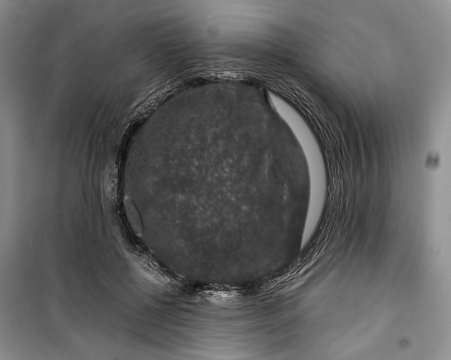 X0000099990552200806131437