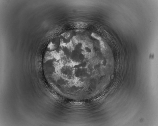 X0000099990553200806131437