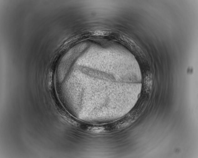 X0000099990554200806131437