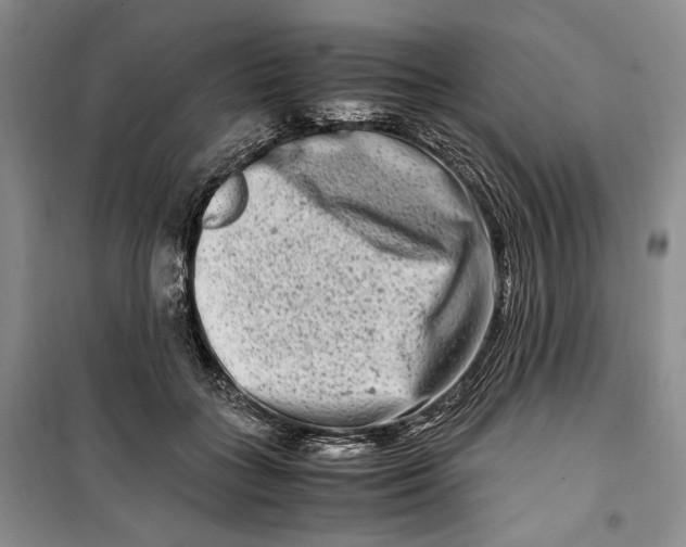 X0000099990555200806131437