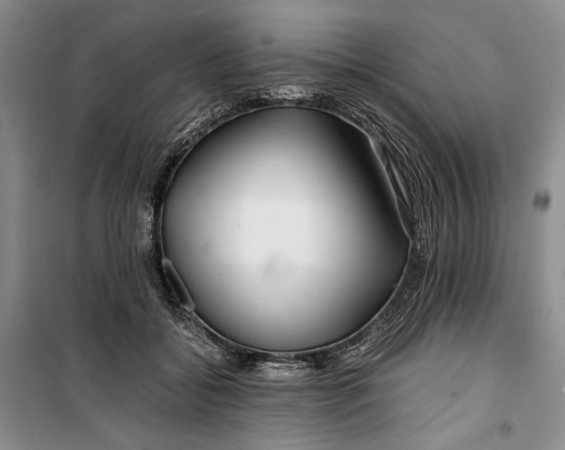 X0000099990556200806131437