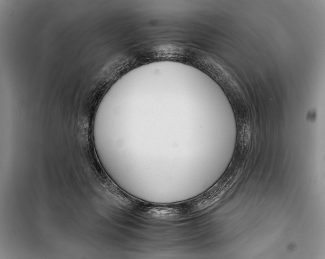 X0000099990557200806131437