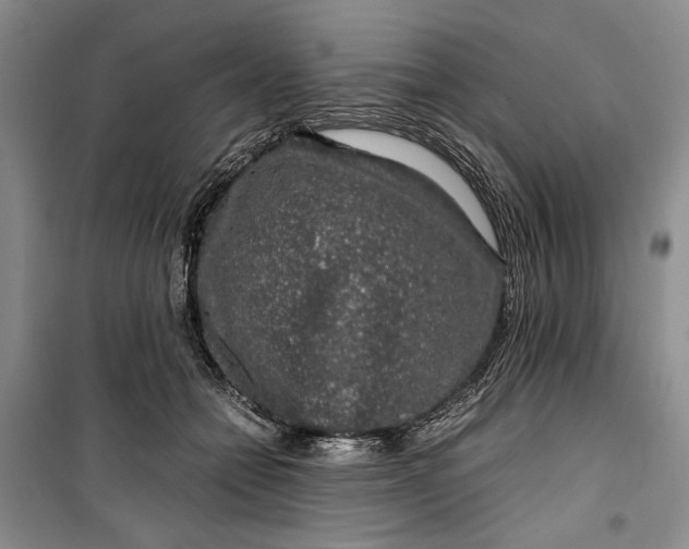 X0000099990558200806131437