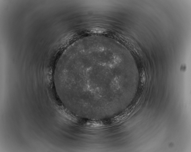 X0000099990559200806131437