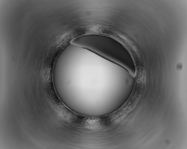 X0000099990560200806131437