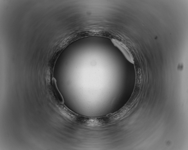 X0000099990562200806131437