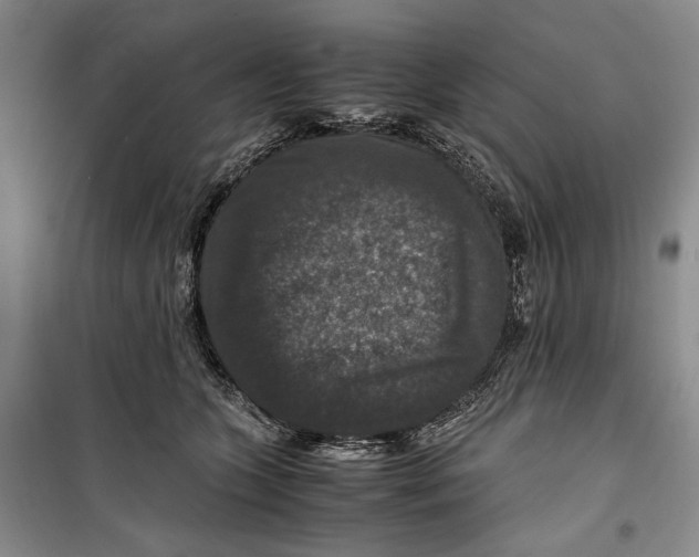 X0000099990563200806131437