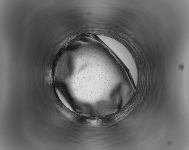 X0000099990564200806131437