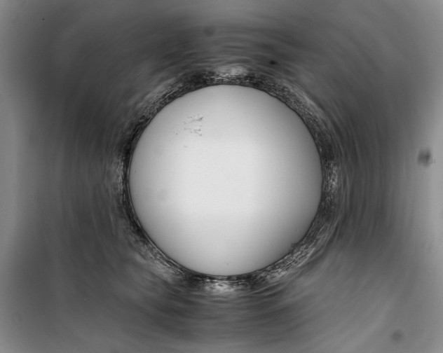 X0000099990565200806131437