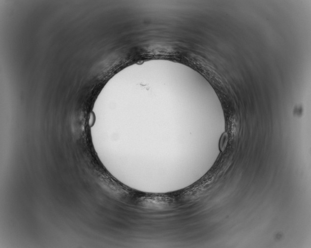 X0000099990567200806131437