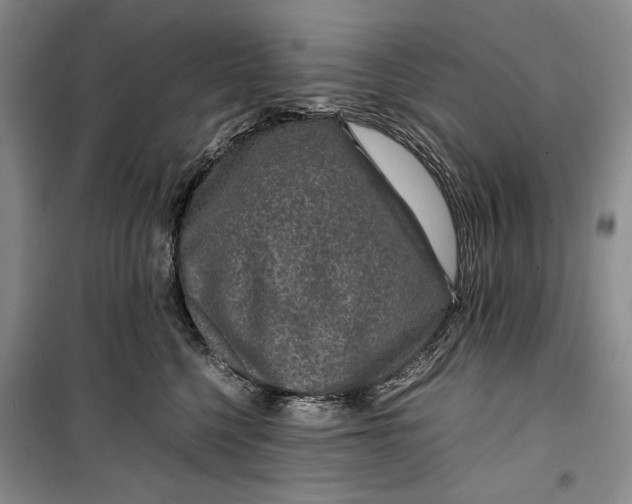 X0000099990568200806131437