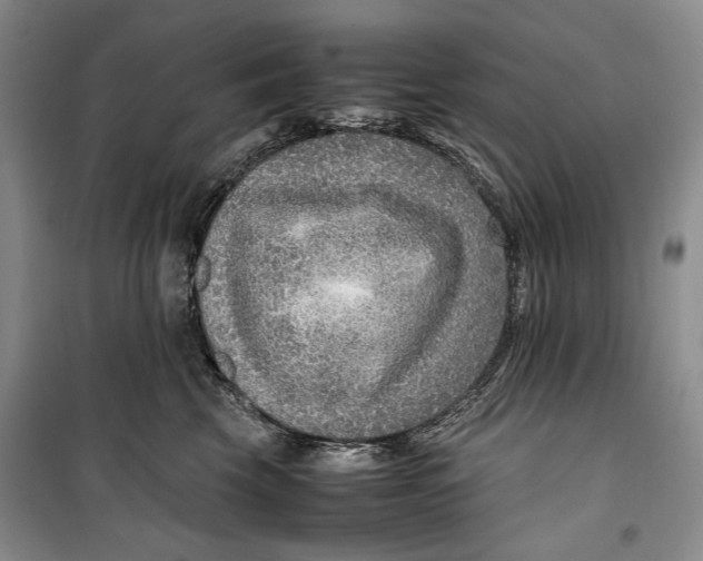 X0000099990569200806131437