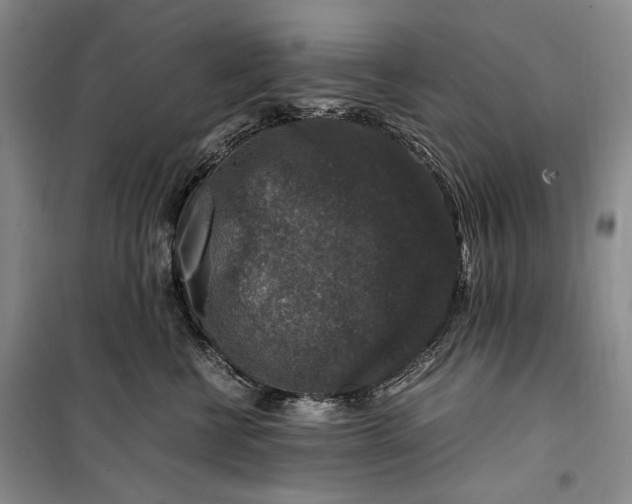 X0000099990570200806131437