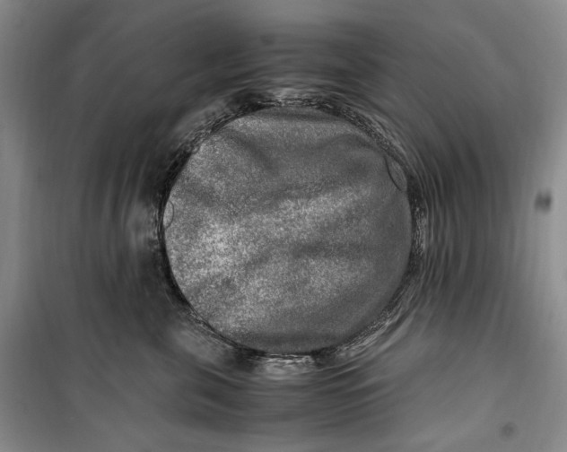 X0000099990571200806131437