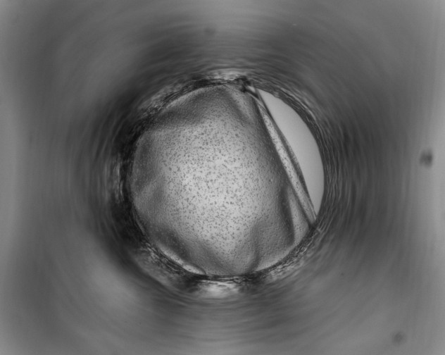 X0000099990572200806131437