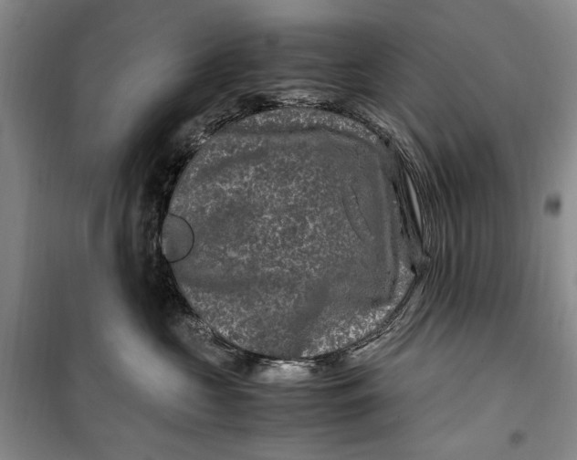 X0000099990573200806131437