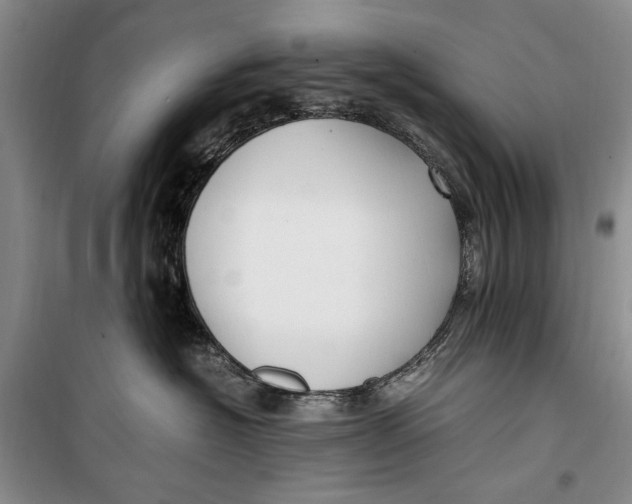 X0000099990574200806131437