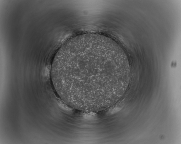 X0000099990576200806131437