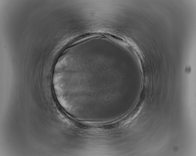 X0000099990577200806131437