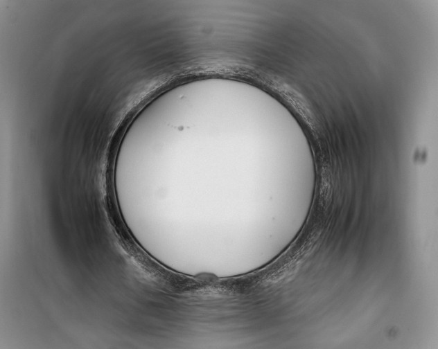 X0000099990578200806131437