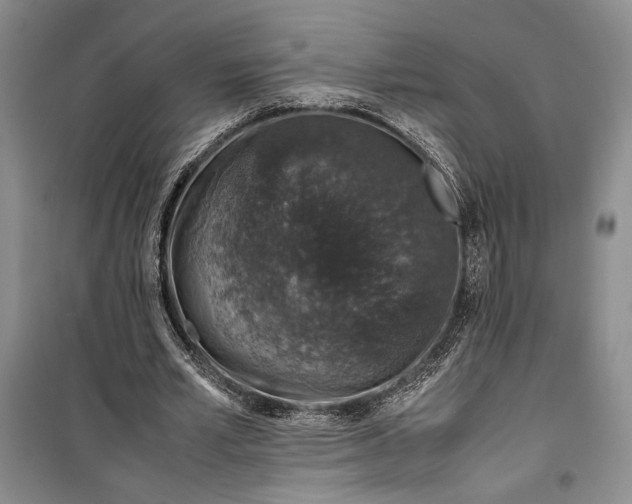 X0000099990581200806131436