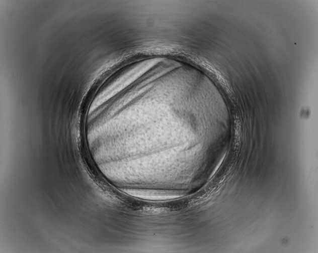 X0000099990582200806131436