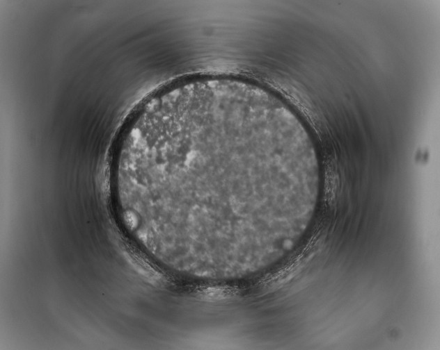 X0000099990584200806131436