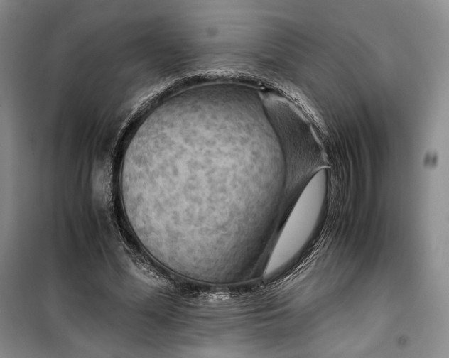 X0000099990588200806131436