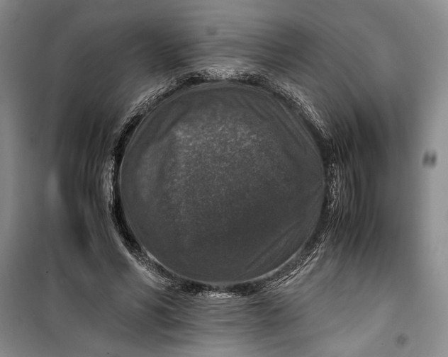 X0000099990590200806131436