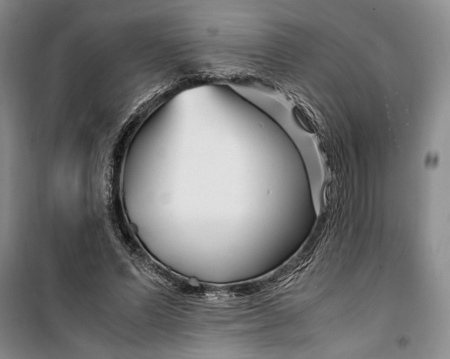 X0000099990591200806131436