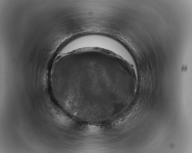 X0000099990592200806131436