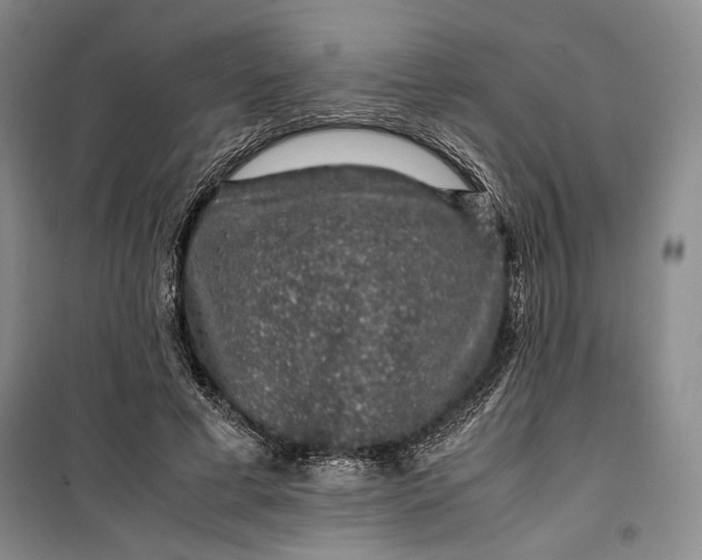 X0000099990593200806131436