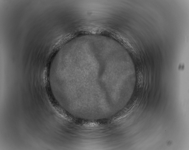 X0000099990594200806131436