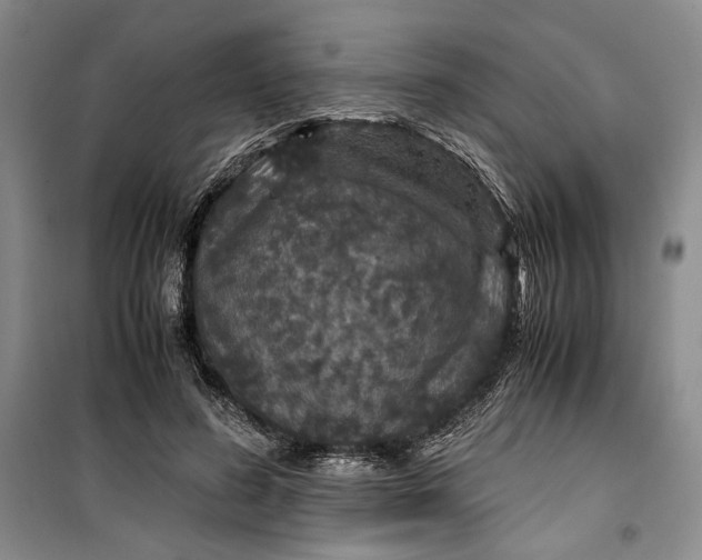 X0000099990596200806131436