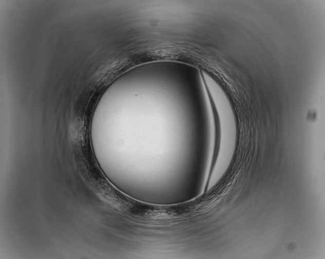 X0000099990597200806131436