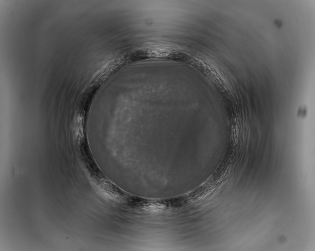 X0000099990598200806131436