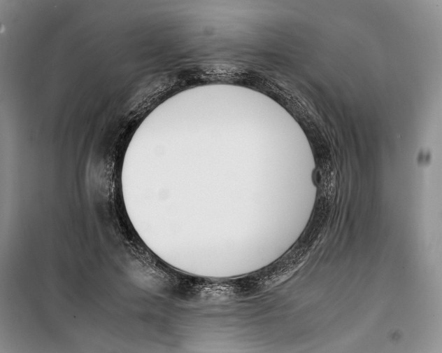 X0000099990599200806131436