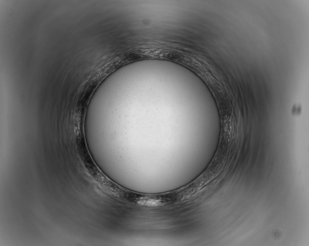 X0000099990602200806131436