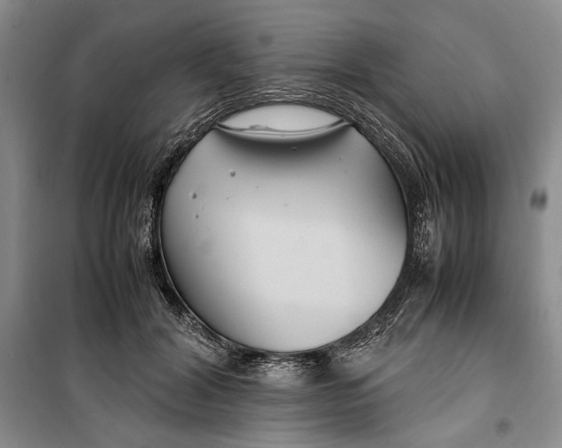 X0000099990604200806131436