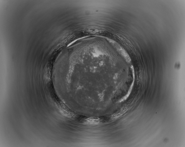 X0000099990606200806131436