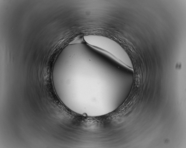 X0000099990608200806131436