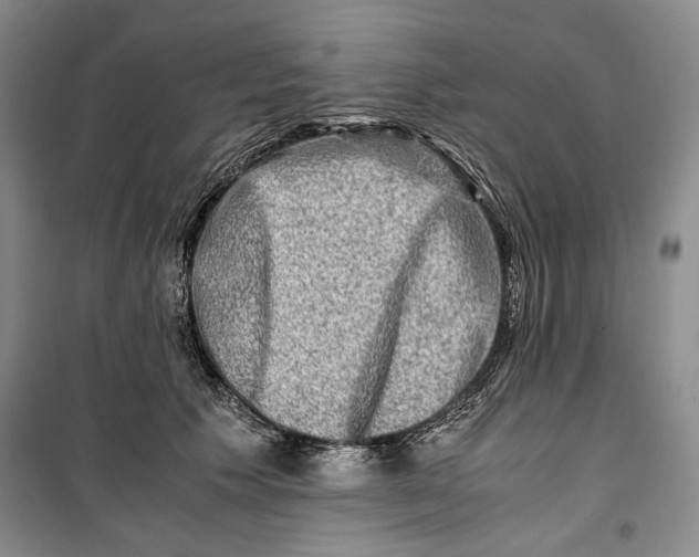 X0000099990609200806131436