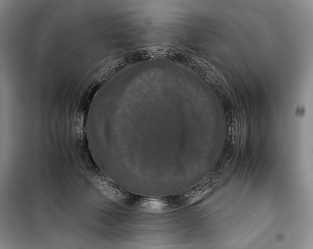 X0000099990610200806131436